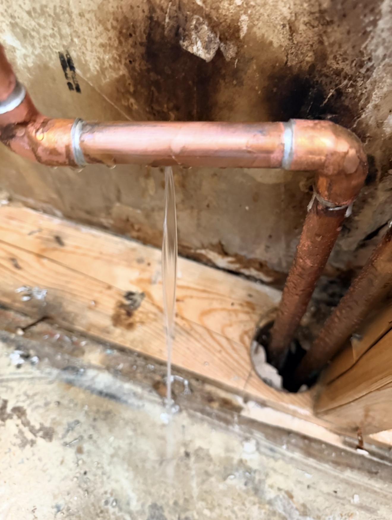 Does Homeowners Insurance Cover Water Damage? Complete 2026 Guide