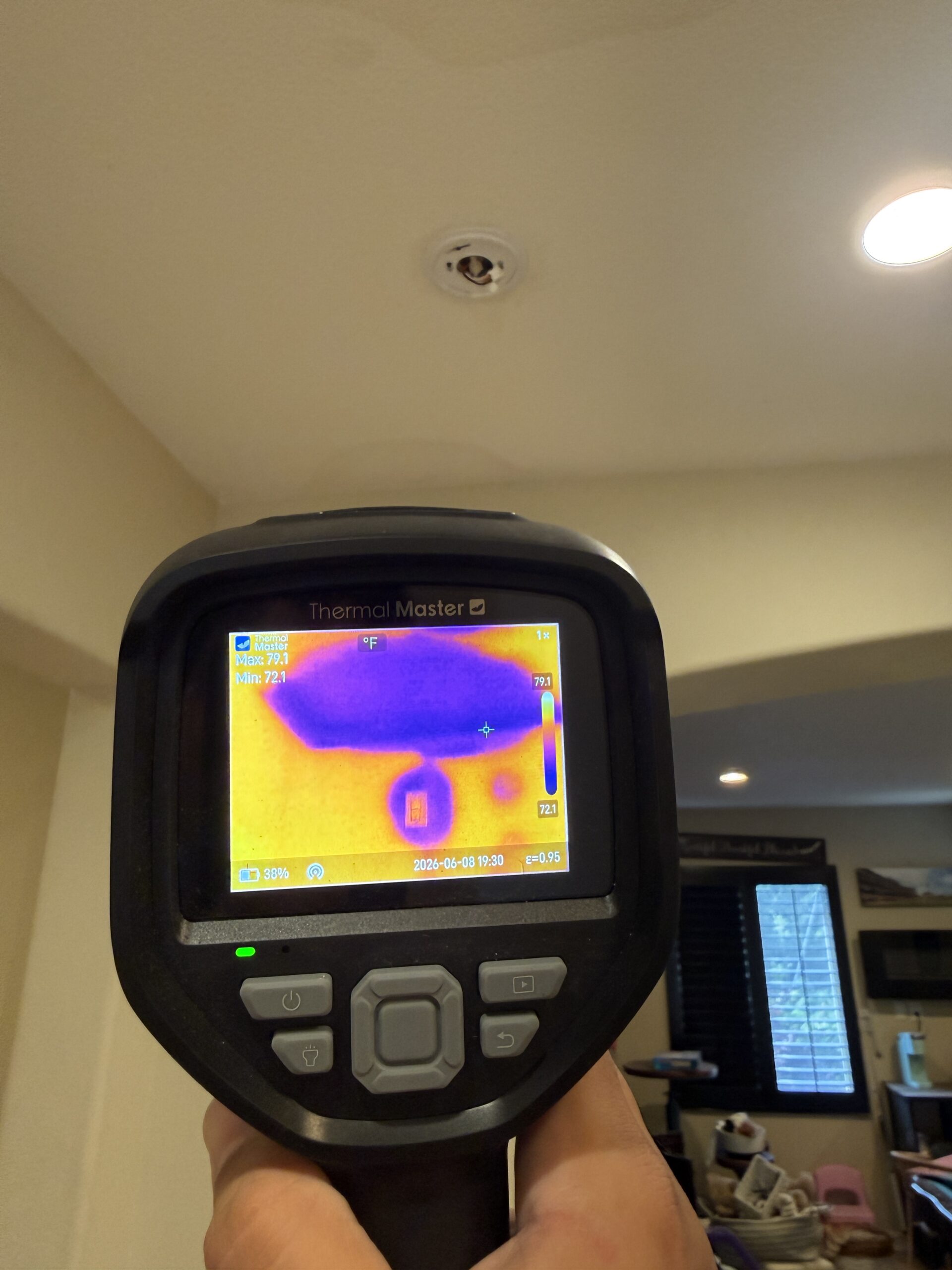 Can Water Damage Cause Mold? Prevention, Warning Signs & What to Do